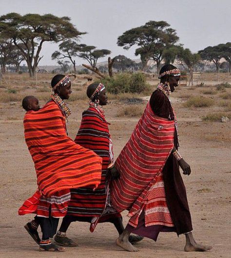 Maasai Culture, Masai Tribe, Africa Tribes, African Image, Maasai People, Masai Clothing, African Tribe, Africa People, Maasai Mara