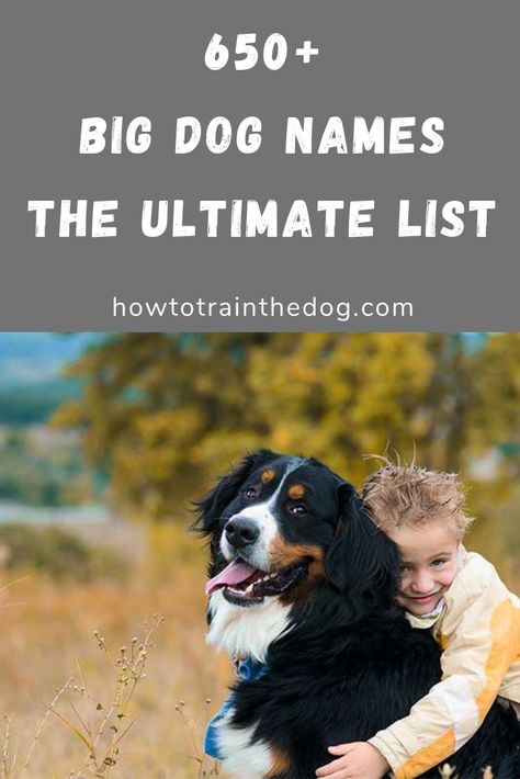 Big Dog Names Male, Big Dog Names, Dogs Names List, Cute Big Dogs, Rhyming Names, Dog Name Ideas, Big Fluffy Dogs, Boy Dog Names, Girl Dog Names