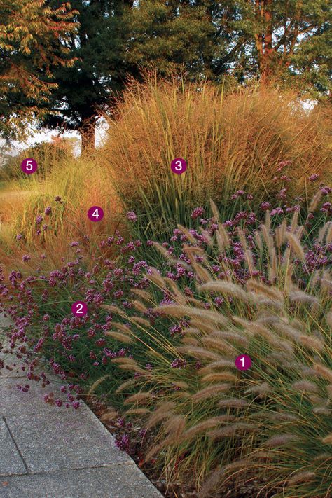 Ornamental Grass Landscape, Prairie Garden, Grasses Landscaping, Grasses Garden, Fine Gardening, Have Inspiration, Ornamental Grasses, Front Garden, Backyard Landscaping Designs