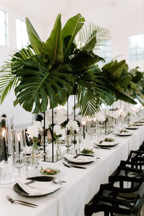 Wedding Flower Arrangements Tropical, Tulum Style Wedding Decor, Monstera Plant Wedding Decor, Contemporary Wedding Table Decor, White Protea Arrangement, Modern Nature Wedding, Botanical Wedding Theme Decor, Black White Gold Boho Wedding, Wedding Decor Live Plants