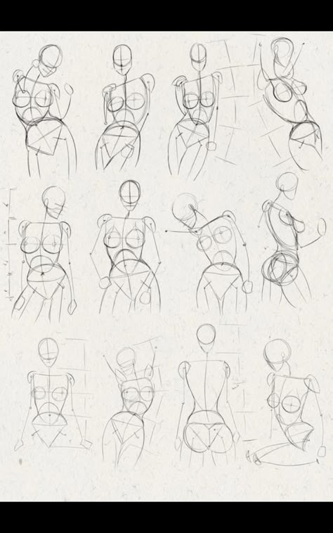 Autonomy Practice, Torso Practice, Human Body Drawing, Human Anatomy Drawing, Human Figure Drawing, Human Anatomy Art, Anatomy Sketches, Figure Sketching, 캐릭터 드로잉