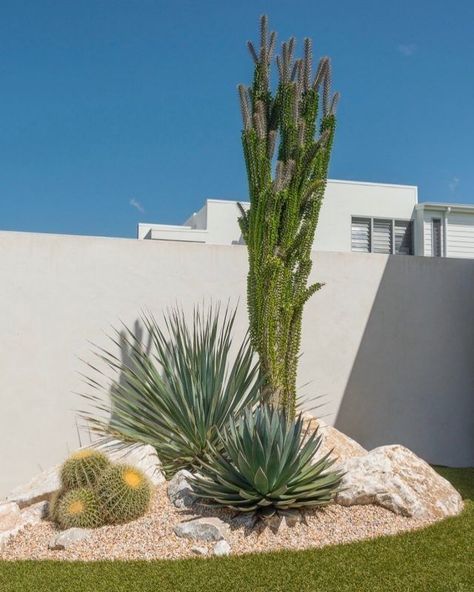 est garden ideas for home  how to design a garden small garden ideas ] home garden design Garden With Rocks, Arizona Backyard Landscaping, Palm Springs Landscaping, Cactus Garden Design, Desert Landscaping Backyard, Mid Century Landscaping, Cactus Garden Landscaping, Xeriscape Plants, Desert Backyard