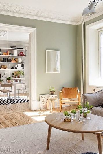 Neutral Green Dining Room, Soft Green Walls Living Room, Sage Green And Yellow Living Room, Sage Green And Terracotta Living Room, Open Doorway Ideas, Neutral Green Living Room, Wall Paint Ideas Living Room, Dining Room Colours, Sage Dining Room