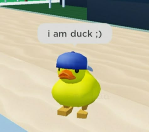 Roblox Duck, Roblox Meme, Roblox Funny, Roblox Memes, Memes Xd, Anaconda, Profile Pictures, Ducks, Yellow