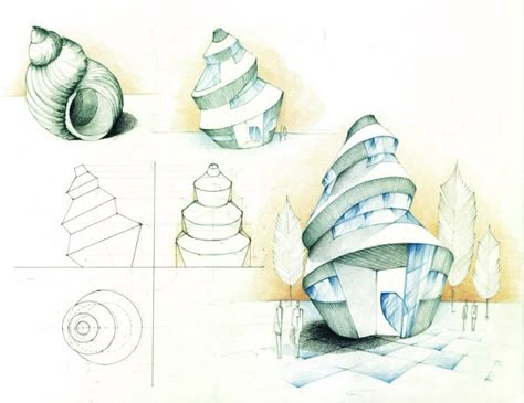 Seashell Architecture, Biomimicry Architecture, Shell House, Concept Models Architecture, Conceptual Architecture, Architecture Concept Diagram, Architecture Design Sketch, Architecture Design Drawing, Ocean Design