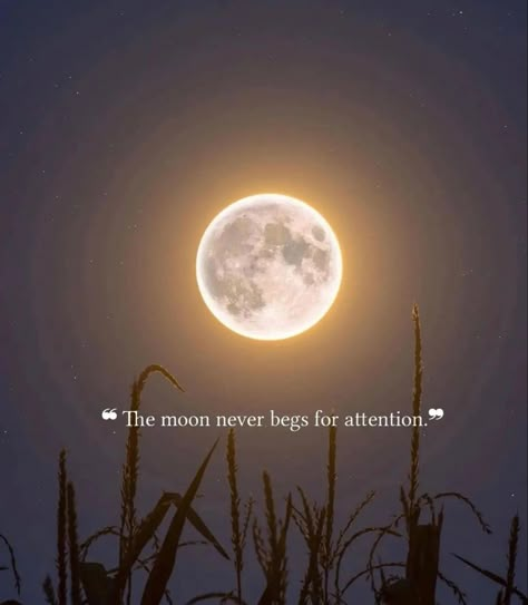 Moon And Star Quotes, Nature Photography Quotes, Moon Quotes, Star Quotes, Just Happy Quotes, Self Inspirational Quotes, Cute Inspirational Quotes, Cute Images With Quotes, Life Quotes Pictures