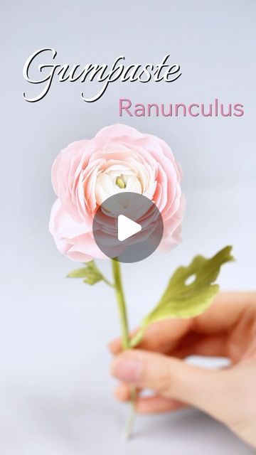 shaniabelle fondant on Instagram: "🌸Gumpaste Ranunculus: realistic flower tutorial This mold kit will give you a perfect finish every time. ✨Shop link in bio Feel free to contact me if you’re interested in this floral mold kit and veiner 💗✨  #floralart #floralgumpaste #bakingsupplies #qelegfondant #tutorial#flowercake #fondant #gumpasteflower #fondantflowers #inspo#tutorial#caketopper #tutorial #foodphotography #foodphotographyandstyling #reelsinstagram #foodgasm #tasty #dessert #video #inspiration #instagood #reels #cakeart #sugarart #cakeideas #LoveCelebration #BeautifulMoments #fondant #fondantcakesph#cutecake" Gumpaste Flowers Tutorial, Gum Paste Flowers Tutorials, Sugar Flowers Tutorial, Gumpaste Flowers, Tasty Dessert, Gum Paste Flowers, Fondant Flowers, Video Inspiration, Mold Kit