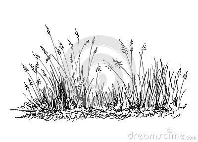 Hand sketch grass Grass Sketch Drawings, Grass Ink Drawing, Long Grass Drawing, Grass Pen Drawing, Grass Field Illustration, How To Draw Grass Pencil, Field Drawing Pencil, Grass Field Drawing, Tall Grass Drawing