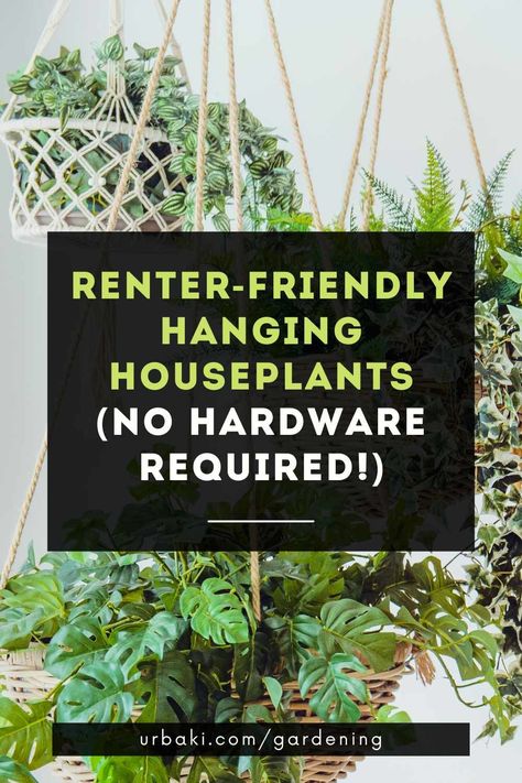 Hanging Plants Apartment Friendly, Hanging Plants Indoor Renter Friendly, Rent Friendly Plant Hanging, Plant Wall Renter Friendly, Tension Rod For Plants, Apartment Friendly Plant Wall, How To Hang Plants Without Drilling, Apartment Friendly Plant Hanging, Plants Instead Of Curtains