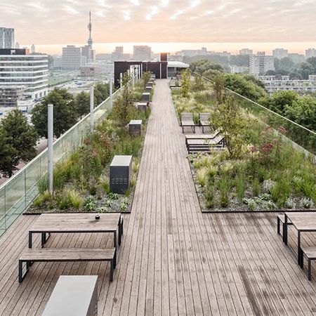 Green Rooftop Terrace, Green Roof Balcony, Rooftop Landscape Architecture, Rooftop Grass Garden, Roof Gardens Design, Living Roof Garden, Green Roofs Architecture, Green Roof Terrace, Green Roof Architecture Rooftop Gardens