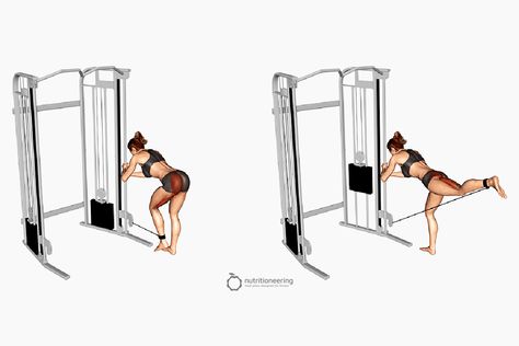 Glutes Kickback Machine, Kickback Exercise Glutes, Cable Hip Extension, Glutes Kickback, Cable Kickbacks Glutes, Kickbacks Exercise, Kick Backs Exercise, Glute Kickback, Hip Extension Exercise