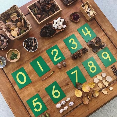 Working on number with my little friends this week 🍃🍂 Love my sandpaper numbers from @educating_kids 💚 #reggioinspired #reggioemiliainspired #reggioinfluenced #reggiokids #naturalclassroom #kindymaths #numbersense #handsonlearning #learningthroughplay #kindy #kindylife #kindergartenteacher #teachersofinstagram #getcreativewith @get.creative.with    #Regram via @themagicofplay) Reggio Emilia Classroom, Early Years Maths, Numeracy Activities, Loose Parts Play, Reggio Inspired Classrooms, Literacy And Numeracy, Nature School, Montessori Math, Loose Parts