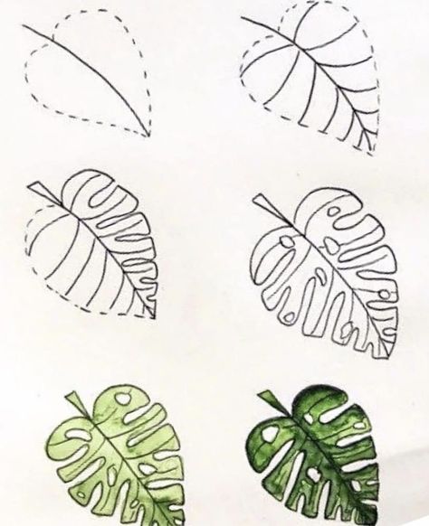 How To Draw Monstera Plant, Leave Drawing Easy, How To Doodle Plants, Simple Plant Drawing Ideas, Easy Monstera Leaf Drawing, Basic Leaf Drawing, Simple Foliage Drawing, How To Draw Tropical Leaves Step By Step, Tropical Flowers Drawing Step By Step