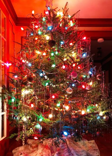 Christmas Tree Big Lights, Incandescent Lighting Christmas, Vintage Christmas Tinsel Tree, C9 Lights On Christmas Tree, Color Light Tree, Colored Christmas Lights On Tree, Vintage Christmas Tree Tinsel, Coloured Lights Christmas Tree, Christmas Tree With Big Light Bulbs