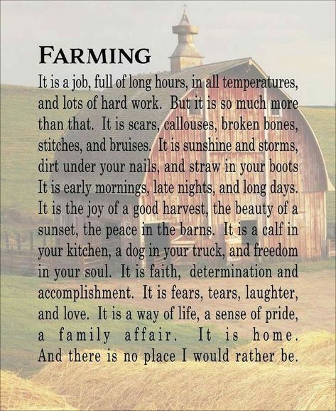 Heaven Farm Life Quotes, Farmer Quotes, Farm Quotes, Home Wood Sign, Wood Signs For Home, Country Girl Quotes, Country Quotes, Home Wood, Farm Scene