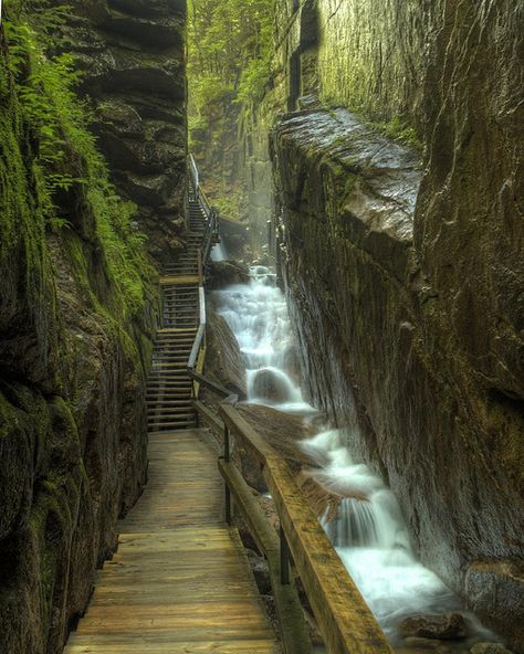 The Flume Aesthetic Environment, Castle Landscape, Flume Gorge, Franconia Notch, New England Road Trip, White Mountains, 1930s Fashion, Beautiful Waterfalls, Incredible Places