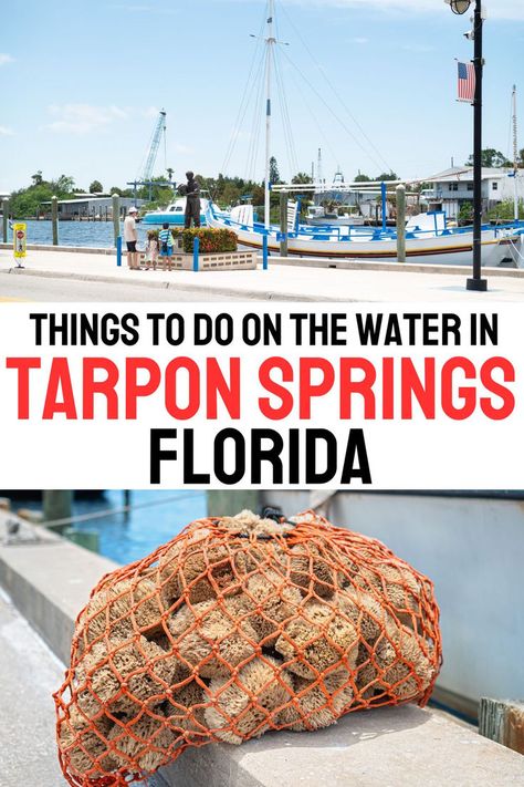 Are There Beaches in Tarpon Springs, Florida blog post Tarpon Springs Sponge Docks, Tarpon Springs Florida, Florida Travel Destinations, Shell Island, Florida Travel Guide, Spring City, Springs Florida, Tarpon Springs, Charter Boat