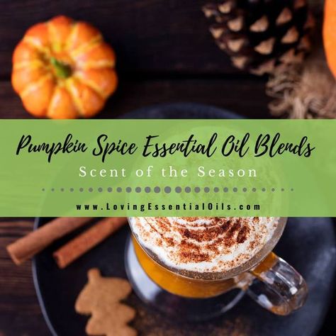 Don't have time to bake a fresh pie to fragrance your home? Try these 8 different Pumpkin Spice Essential Oil Blends. These diffuser blends, inhalers, and room sprays will not just fill your space with spicy goodness, but also refresh the air while bringing a smile to your face. Pumpkin Spice Essential Oil, Pepermint Oil, Coffee Essential Oil, Happy Pumpkin Spice Season, Fall Essential Oils, Pumpkin Spice Recipe, Diy Essential Oil Recipes, Diy Scent, Sweet Pumpkin