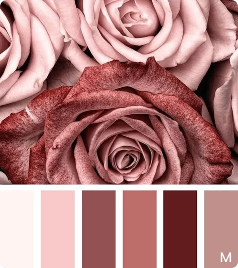 Dusty Rose Mood Board, Royalty Color Palette, Old Rose Color Palette, Rose Color Palette, Old Rose Color, Wedding Color Pallet, Neutral Pink, Color Schemes Colour Palettes, Nature Color Palette