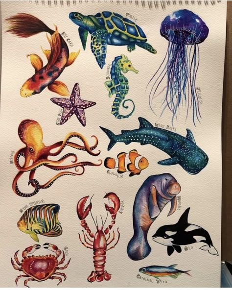 Watercolour sea life painting by Hannah Sea Life Drawings Coral Reefs, Under Water Creatures Drawing, See Creatures Drawing, Undersea Watercolor Painting, Aquatic Life Art, Marine Life Watercolor Painting, Under The Sea Sketchbook, Aquatic Life Painting, Underwater Sea Life Drawing