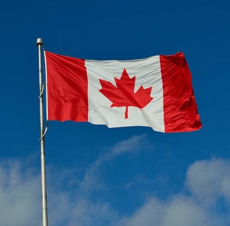 Canada Toronto City, Welcome To Canada, Migrate To Canada, Visa Canada, Canada Immigration, Toronto City, Toronto Travel, Mortgage Broker, Happy Canada Day