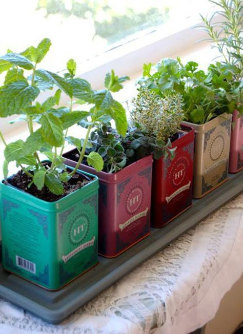 11 Indoor Gardening Hacks for Spring, No Yard Required - Brit + Co Apartment Herb Gardens, Earth Day Projects, Herb Garden In Kitchen, نباتات منزلية, Herb Garden Design, Vertical Herb Garden, Kitchen Herbs, Herb Gardens, Diy Outdoor Decor