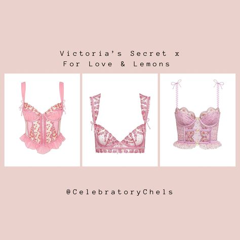 Victoria Secret Valentines, Victoria Secret Valentines Day, Embroidered Bustier, Secret Valentine, Bridal Registry, For Love & Lemons, For Love And Lemons, Lace Bra, Victoria’s Secret