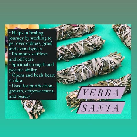 Yerba Santa Magical Properties, Yerba Santa Smudge Benefits, Yerba Mate Benefits, Yerba Santa, Feminine Spirituality, Divine Feminine Spirituality, Healing Heart, Yerba Mate, Healing Herbs