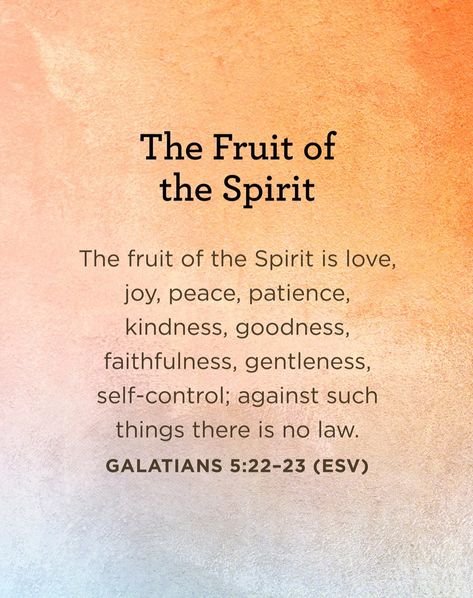 Purchase the study guide for the 'Fruit of the Spirit' series for only $2 or download the free digital study guide at tfl.org/fruit. #TruthForLife #FruitoftheSpirit Bible Study On Fruits Of The Spirit, Fruit Spirit, Christian Pics, The Fruits Of The Spirit, Baby Gender Reveal Party Decorations, Fruits Of The Spirit, The Fruit Of The Spirit, Charles Stanley, Bible Study Methods