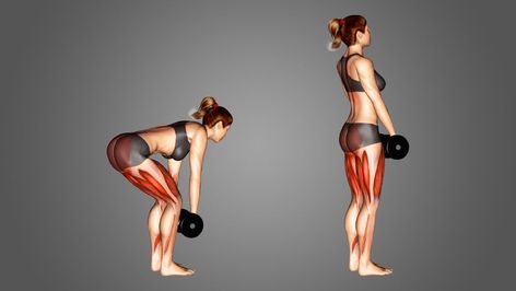 Dumbell Deadlift Women, Dumbbell Deadlift Women, Deadlift With Dumbbells, Rdls With Dumbbells, Dumbell Deadlift, Fitness Era, Deadlift Women, Dumbbell Deadlift, Deadlift Variations