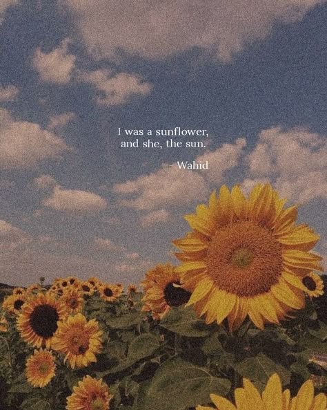 Bg3 Damon, Quotes On Sunflower, Sun Aesthetic Quotes, Sunflower Aesthetic Quotes, Flowers Quotes Aesthetic, Sunflower Quotes Inspirational, Sun Flowers Aesthetic, Sunflower Poem, Love Quotes From Literature