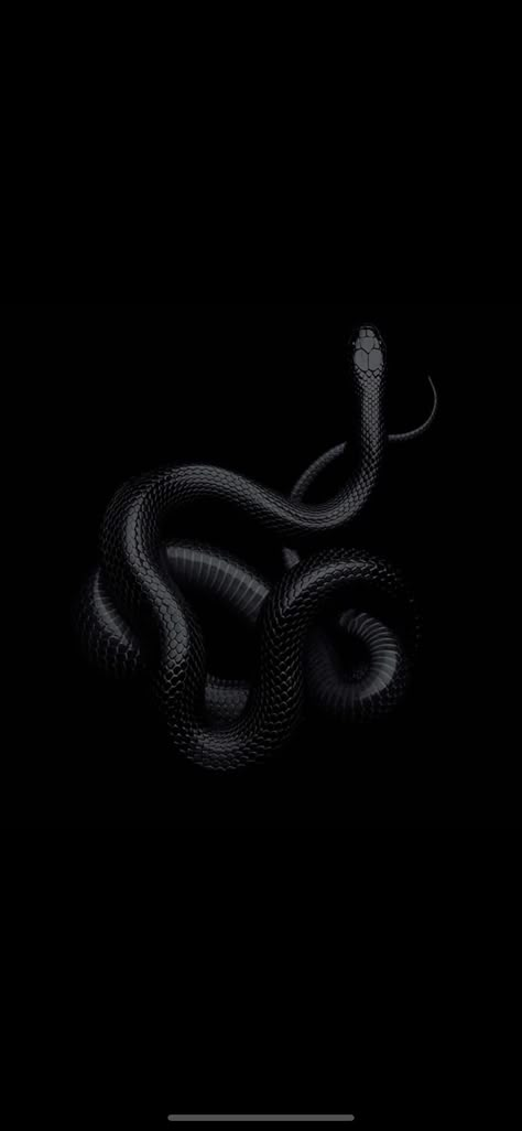 Black Snake Wallpaper Iphone, Black Mamba Snake, Instagram Black Theme, Pretty Snakes, Snake Wallpaper, Shadow Dragon, Cute Snake, Snake Art, Trippy Wallpaper