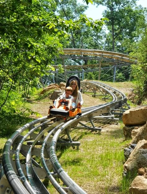 Mountain Roller Coaster, Chai Bar, Tennessee Attractions, Mountain Coaster, Honey Bar, Alpine Slide, Playground Landscaping, Alpine Coaster, Pigeon Forge Tennessee