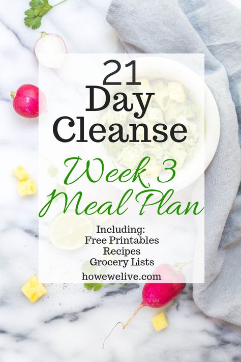 Cleanse Meal Plan, Standard Process Cleanse Recipes, 21 Day Cleanse, 1200 Calorie Diet Meal Plans, 21 Day Detox, Detox Meal Plan, Meal Plan Grocery List, Best Smoothie, Cleanse Diet