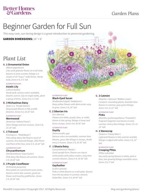 Beginner Garden, Flower Garden Layouts, Full Sun Garden, Perennial Garden Plans, Flower Garden Plans, Flower Bed Designs, Green Meals, Garden Plan, Sun Garden