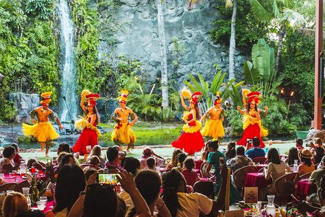 The origins of the Hawaiian luau, luaus and luau foods of today and tips on attending a luau in Hawaii. Baby Flight, Hawaii Culture, Oahu Luau, Christmas In Hawaii, Maui Luau, Oahu Waikiki, Hawaiian Honeymoon, Student Exchange, Island Girl Aesthetic