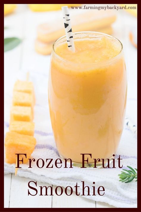 Tropical Fruit Smoothie Recipes, Smoothies With Frozen Fruit Recipes, Smoothies Frozen Fruit, Baritastic Recipes, Vegetable Fruit Smoothie Recipes, Yogurt Fruit Smoothie, Smoothie Recipes Without Yogurt, Frozen Smoothie Recipes, Delicious Fruit Smoothies