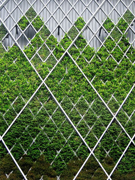 Vertical Garden by asiax89, via Flickr Green Facade, Modern Garden Design, Green Architecture, Garden Architecture, Facade Architecture, Living Wall, Facade Design, Green Roof, Plant Wall