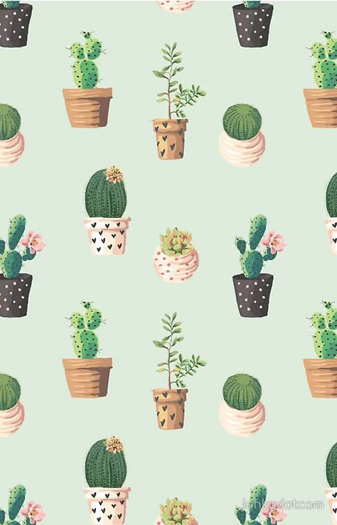 voor mensen die van cactussen houden misschien  een idee om te bewaren en mij te volgen?! Iphone Backgrounds, A Wallpaper, Green Wallpaper, Phone Backgrounds, Iphone Wallpapers, Phone Wallpapers, Potted Plants, Phone Wallpaper, Cactus