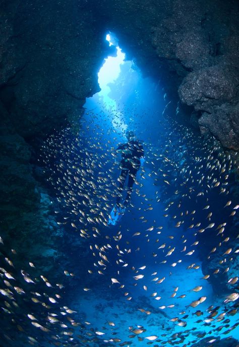 Cave Swimming, Sea Life Photography, Dahab Egypt, Red Sea Egypt, Sinai Egypt, Red Sea Diving, Places In Egypt, Egypt Culture, Sea Cave