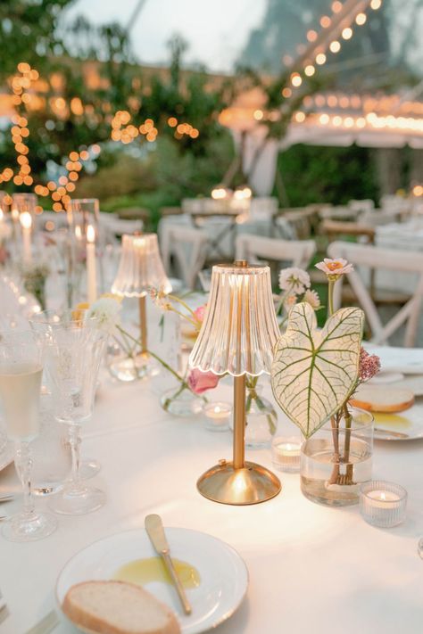 Danielle Frankel, Garden Party Wedding, Wedding Dinner, Wedding Tablescapes, Wedding Mood Board, Dreamy Wedding, Wedding Vibes, Wedding Mood, Over The Moon