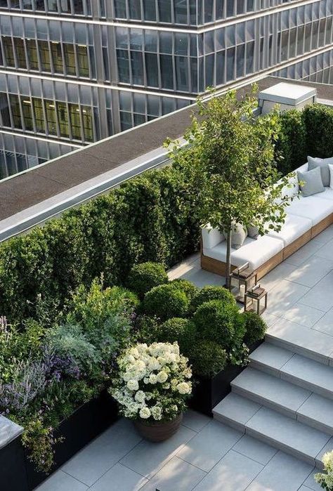 Rooftop Garden Urban, Tribeca Nyc, Roof Garden Design, Small Water Features, Rooftop Terrace Design, Rooftop Design, Rooftop Patio, Modern Backyard, Terrace Design