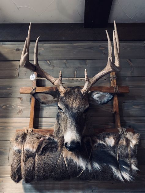 New pack mount!! Check us out and give us a like!! Deer Mount Ideas Taxidermy, Pack Mount Taxidermy, Deer Pack Mounts, First Deer Mount Ideas, Pack Mount Deer, Mule Deer Mounts, Taxidermy Deer Mounts, Deer Skull Mount Ideas, Whitetail Taxidermy