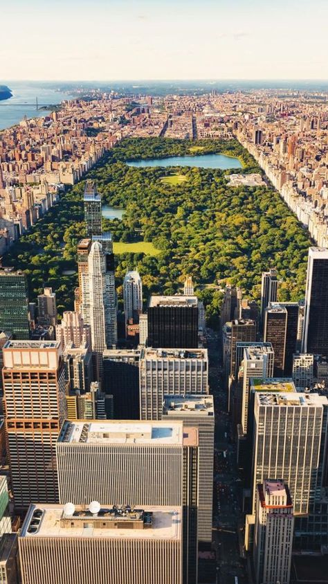 Central Park Aesthetic, Central Park View, Ny Skyline, New York City Central Park, Central Park Manhattan, Central Park Nyc, Nyc Park, New York City Travel, Door Wall