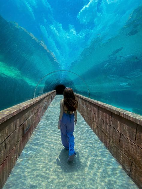 Atlantis Resort Bahamas, Bahamas Pictures, Underwater Tunnel, Travel Pic Ideas, Pic Ideas Poses, Vacation Picture Ideas, Bahamas Outfit, Cruise Photography, Bahamas Trip