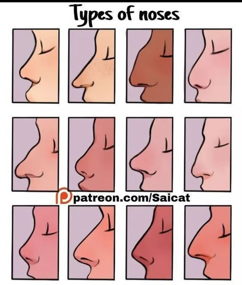 Types Of Noses, الفن الرقمي, 얼굴 드로잉, Nose Drawing, Smink Inspiration, Drawing Help, Drawing Expressions, Art Help, Wow Art