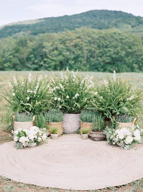 Green Ceremony, Planters Wedding Ceremony, Plants For Wedding, Plants At A Wedding, Planter Wedding Ceremony, Boho Nature Wedding, Potted Plant Altar Wedding, Potted Plants Wedding Ceremony, Cream And Green Wedding Color Schemes