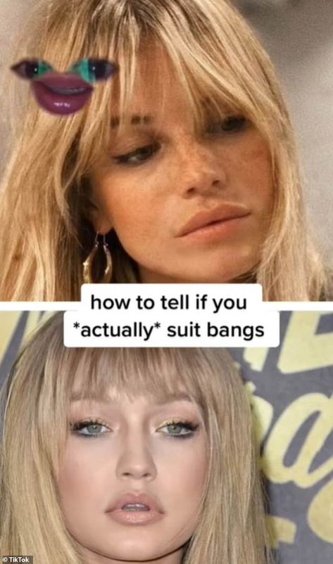 Hairstylists reveal equation to work out if bangs will be flattering Flattering Bangs Round Face, Fringe For Oblong Face, Haircuts To Elongate Face, Best Face Shape For Curtain Bangs, Best Haircut For High Forehead, Face Shapes For Bangs, Face Shape Bangs Guide, Types Of Long Bangs, Curtain Bangs Short Hair Heart Shaped Face