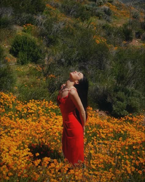 super bloom poppy fields california 
Red dress Malibu Photoshoot Ideas, Wild Flower Photoshoot Poses, In The Field Photoshoot, Red Dress Photoshoot Ideas Outdoor, Photos In Flower Fields, Spring Field Photoshoot, Flower Field Portrait, Photoshoot In Flower Fields, Outdoors Photoshoot Ideas