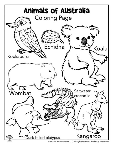 Alexander and the Terrible, Horrible, No Good, Very Bad Day Lesson Plan | Woo! Jr. Kids Activities Australia Lesson Plans Preschool, Outback Animals Preschool, Australian Outback Vbs Decorations, Zoomerang Vbs, Animals Of Australia, Australia For Kids, Animals Around The World, Australia Crafts, Animal Worksheets